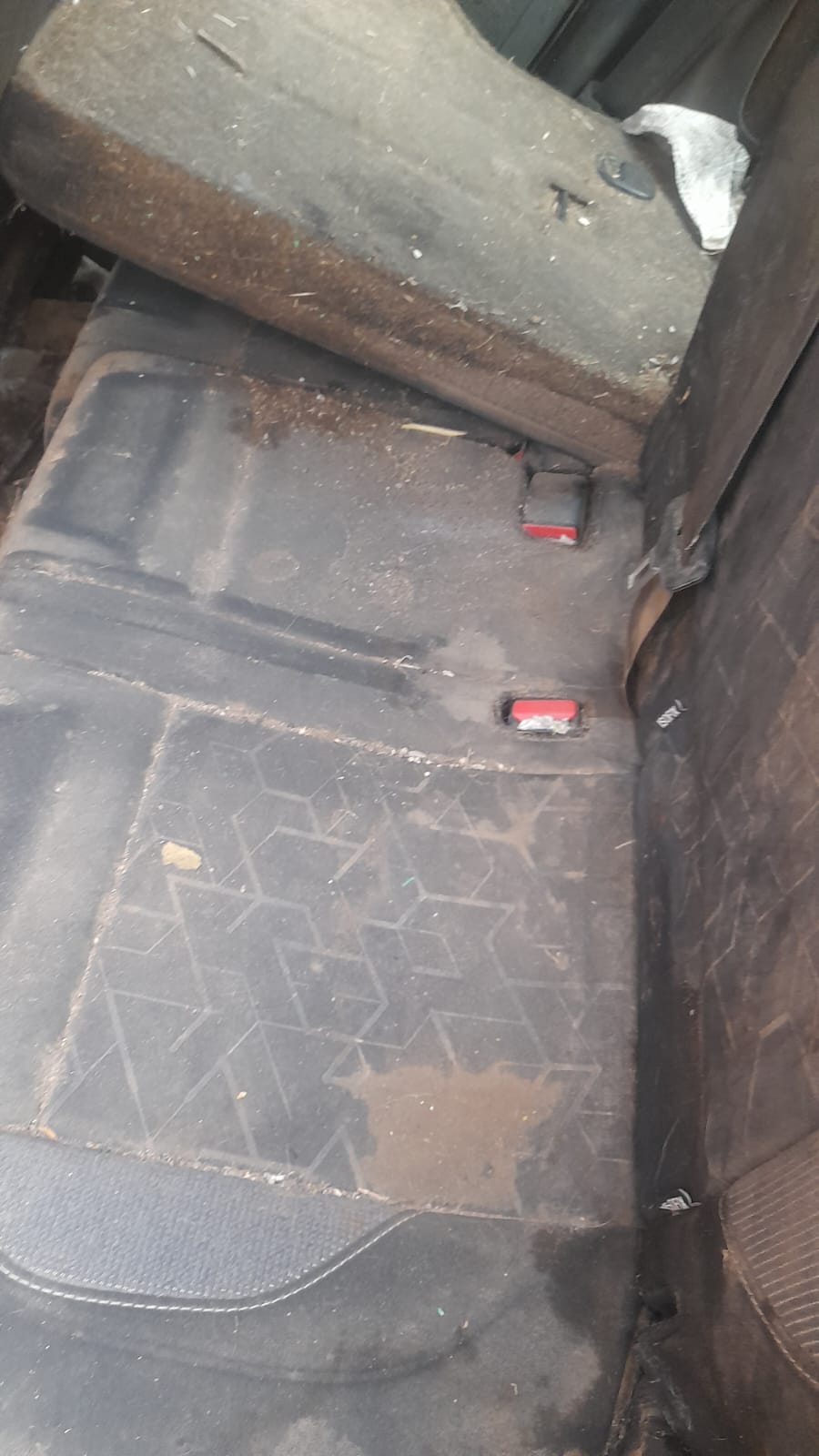 Sedile auto macchiato